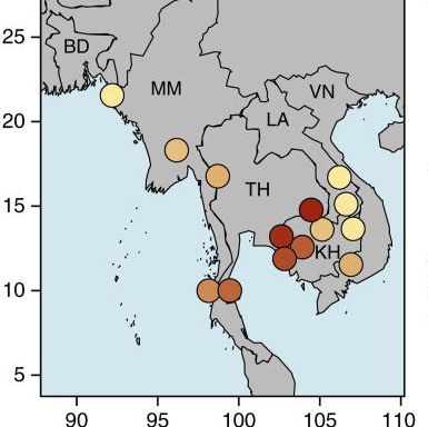 Figure 2a. Miotto, Amato et al, 2015